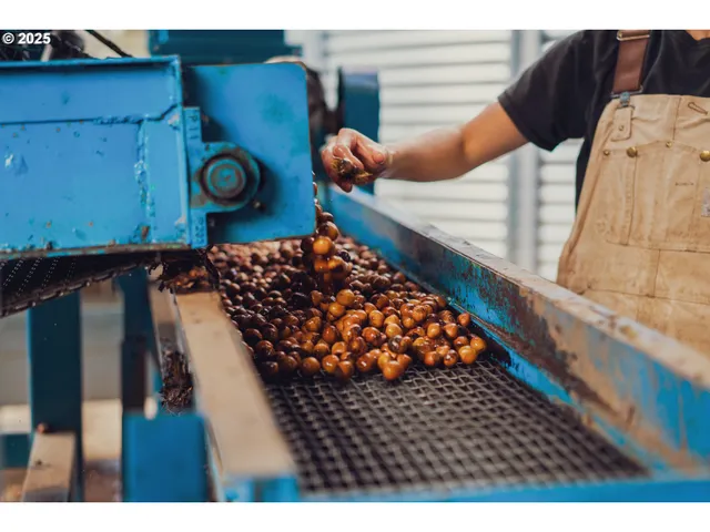 $2,490,000 | 45868 Northwest Hillside Road, Forest Grove, OR 97116