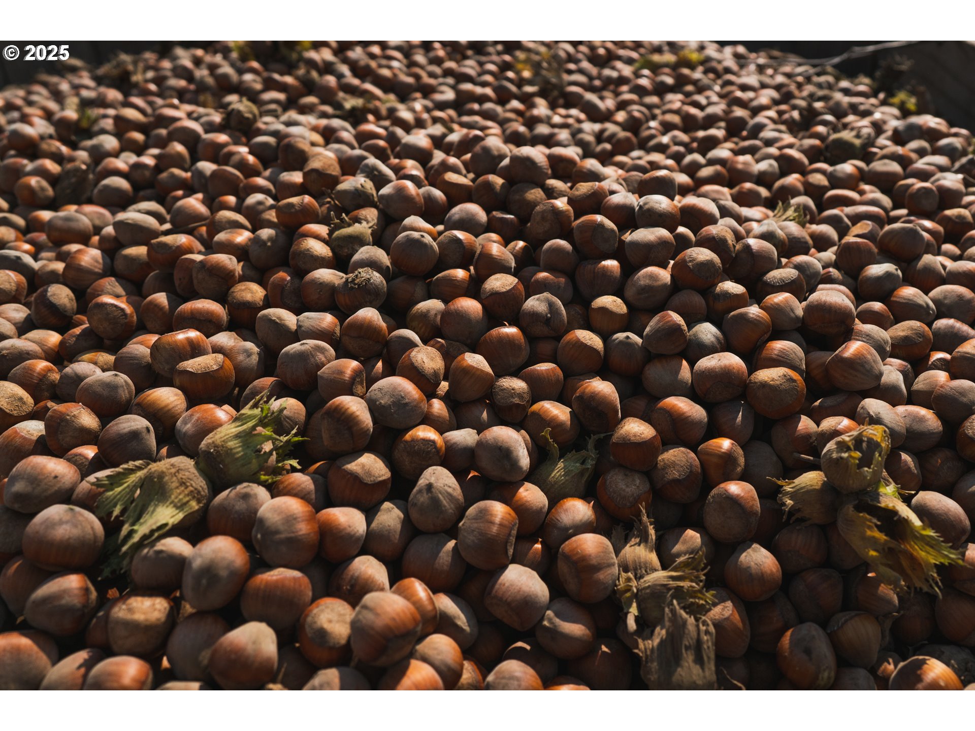 45868 Northwest Hillside Road Forest Grove, OR 97116 - Photo 22 of 24