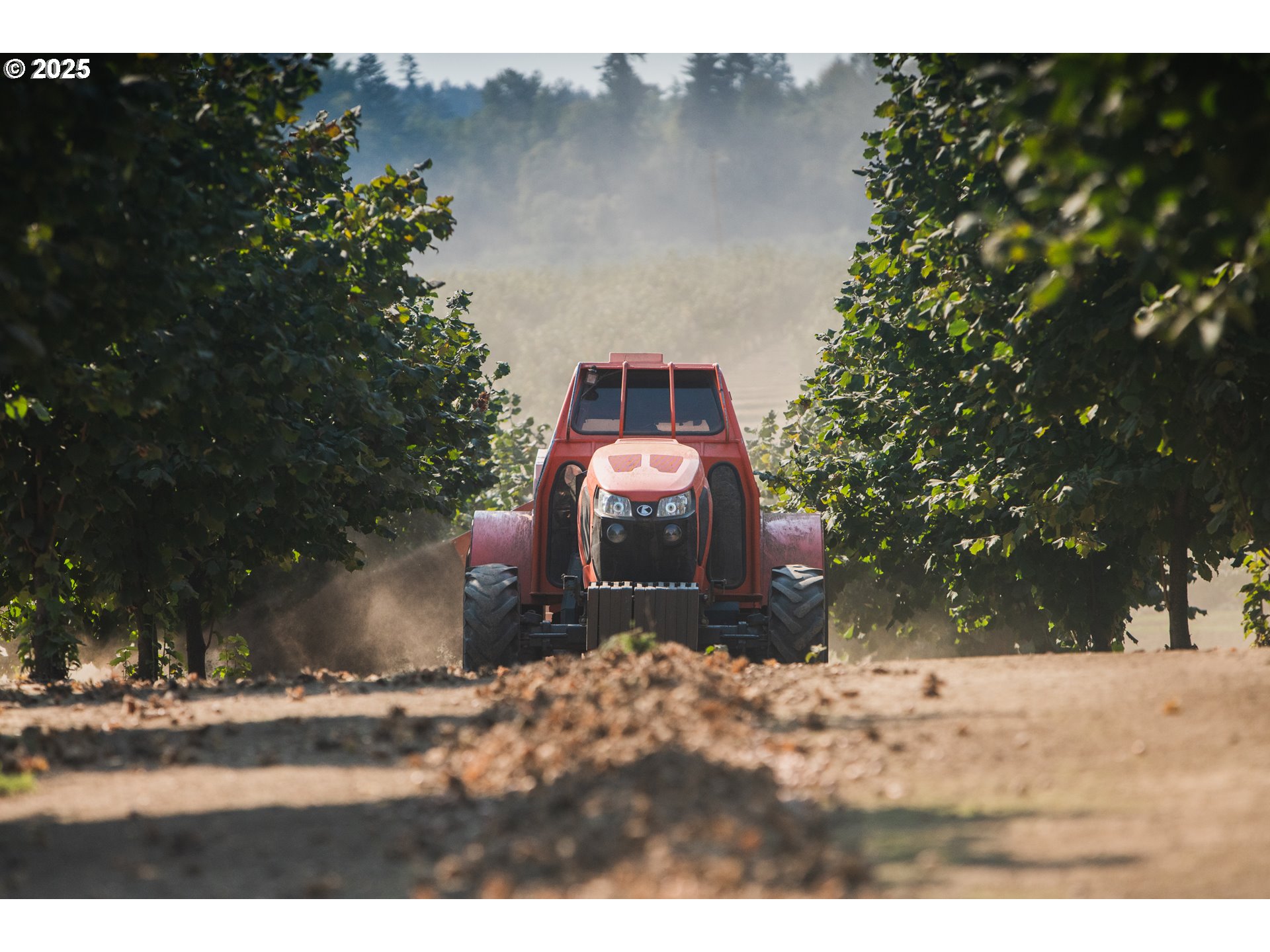 45868 Northwest Hillside Road Forest Grove, OR 97116 - Photo 23 of 24