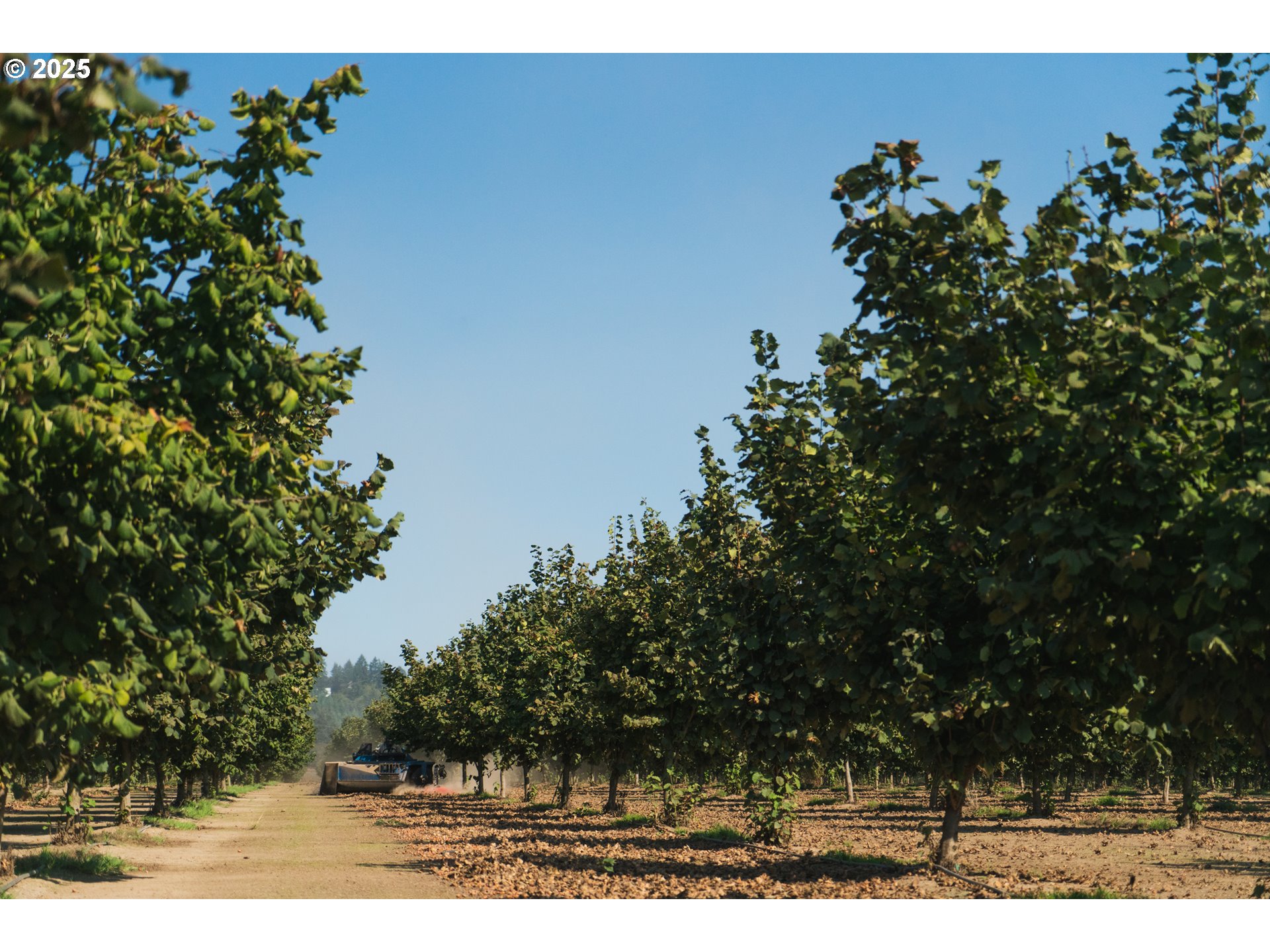 45868 Northwest Hillside Road Forest Grove, OR 97116 - Photo 24 of 24