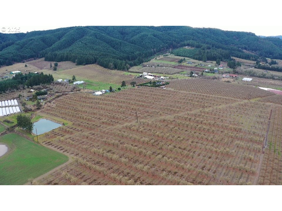 45868 Northwest Hillside Road Forest Grove, OR 97116 - Photo 3 of 24