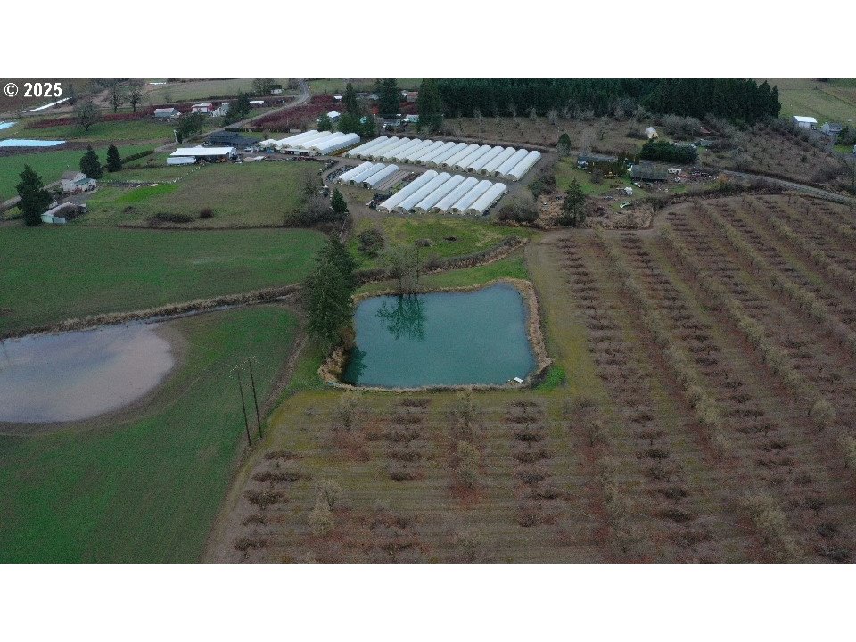 45868 Northwest Hillside Road Forest Grove, OR 97116 - Photo 4 of 24