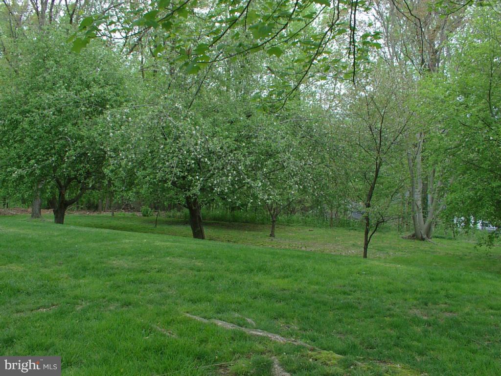140 Woodside Road Lancaster, PA 17601 - Photo 19 of 21 Gallery Image 19