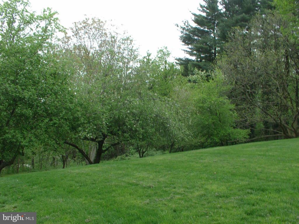 140 Woodside Road Lancaster, PA 17601 - Photo 20 of 21 Gallery Image 20