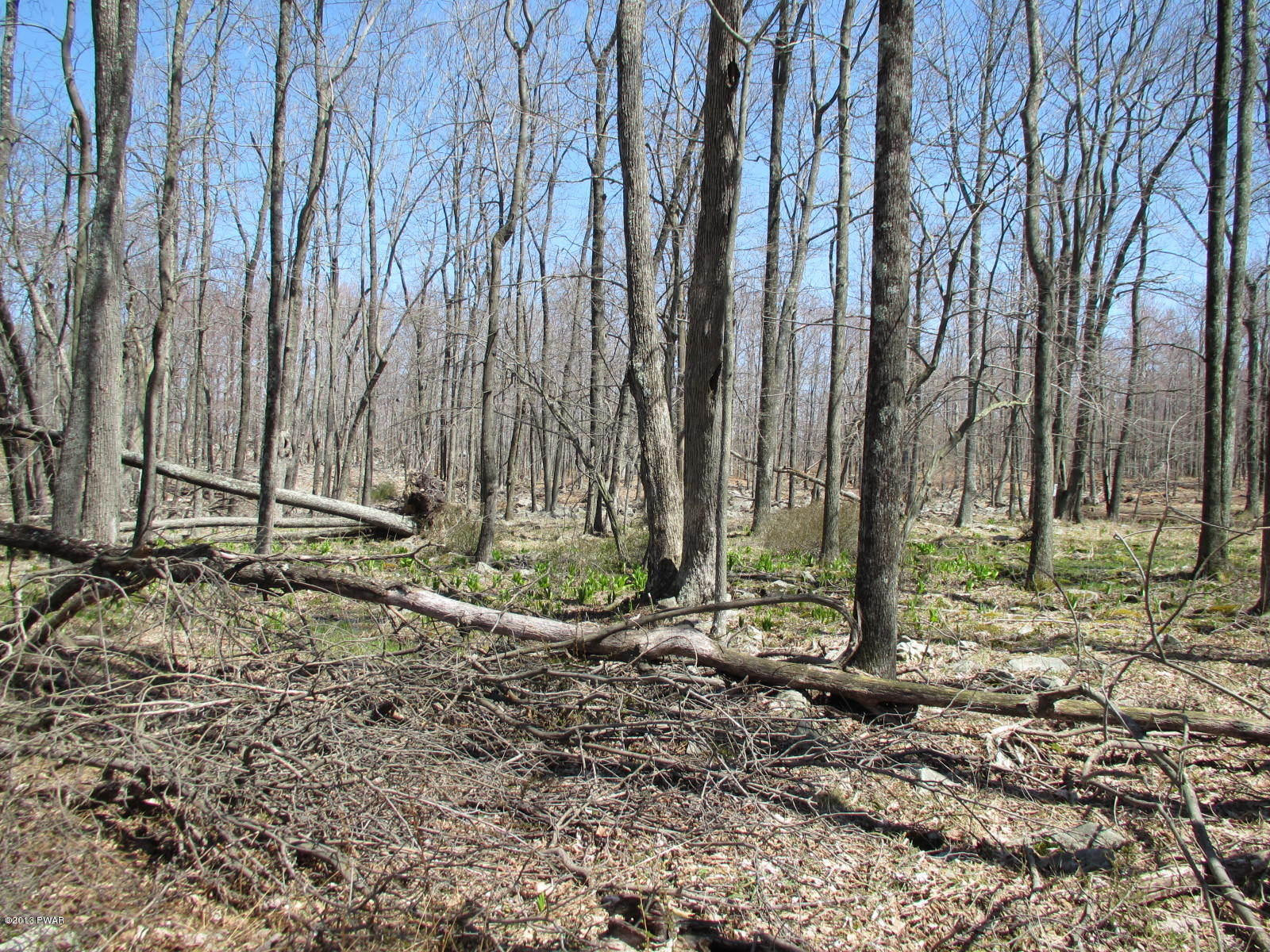 156 3 Legged Swamp Road Canadensis, PA 18325 - Photo 50 of 72