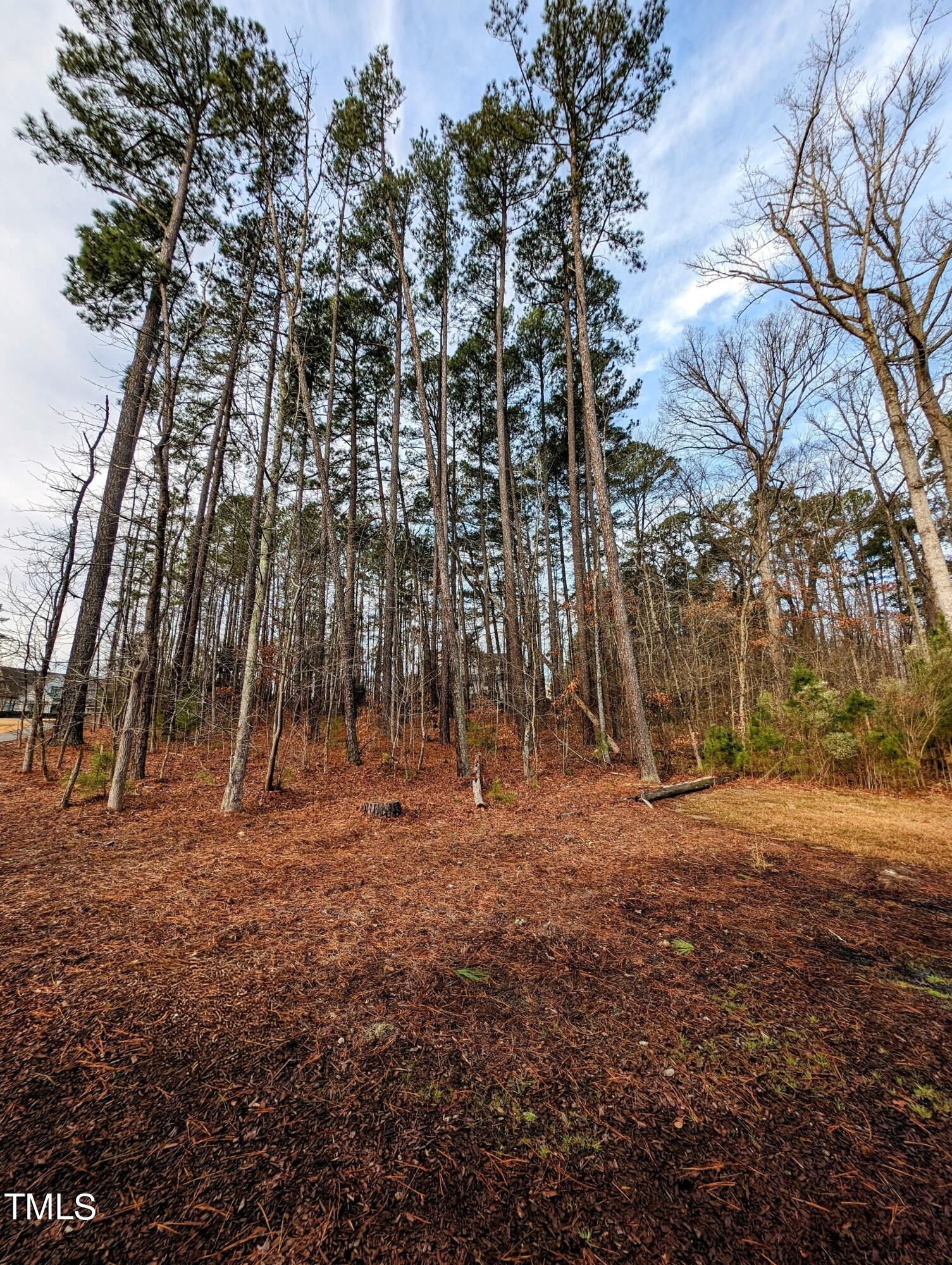 102 Turner Ridge Circle Durham, NC 27713 - Photo 4 of 10 PXL_20240202_140049225~3