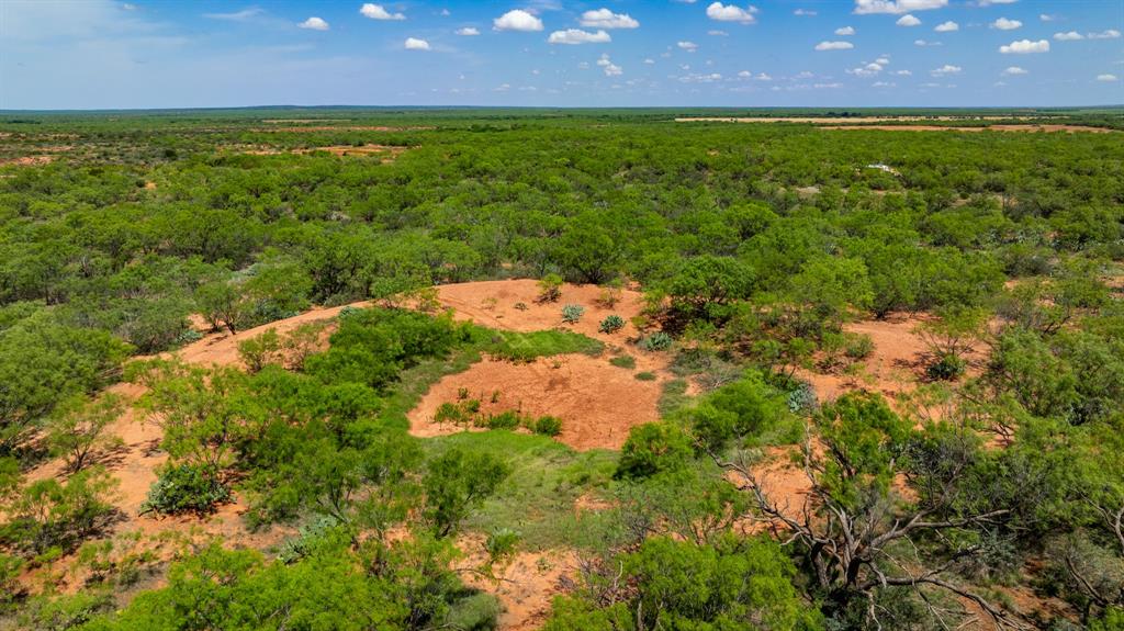 179 County Road Trent, TX 79561 - Photo 21 of 28