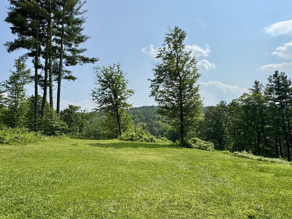 171 Haydenville Road Whately, MA 01093 - Photo 21 of 24 a yard with trees in the background