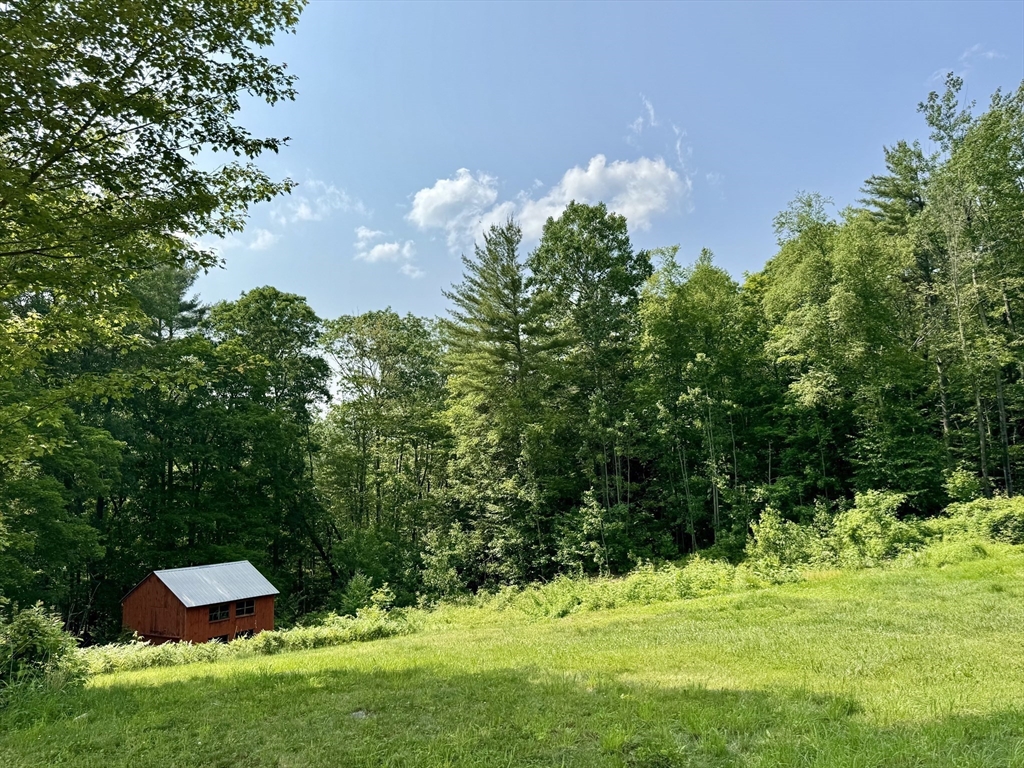 171 Haydenville Road Whately, MA 01093 - Photo 4 of 24 a backyard of a house with lots of green space
