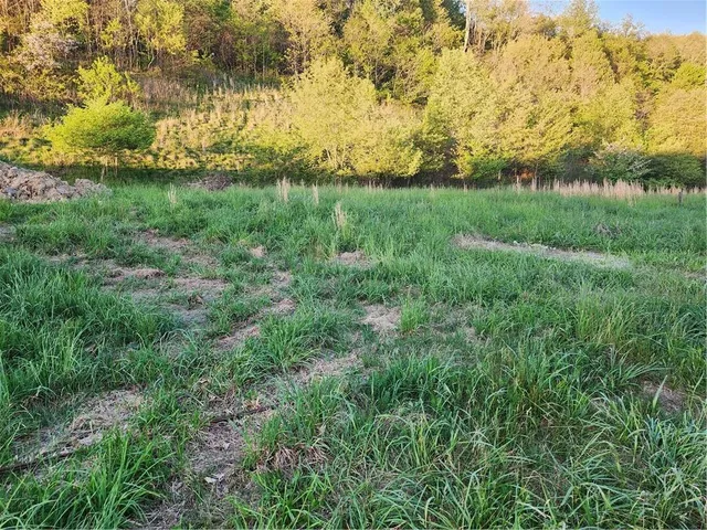 a view of yard with green space