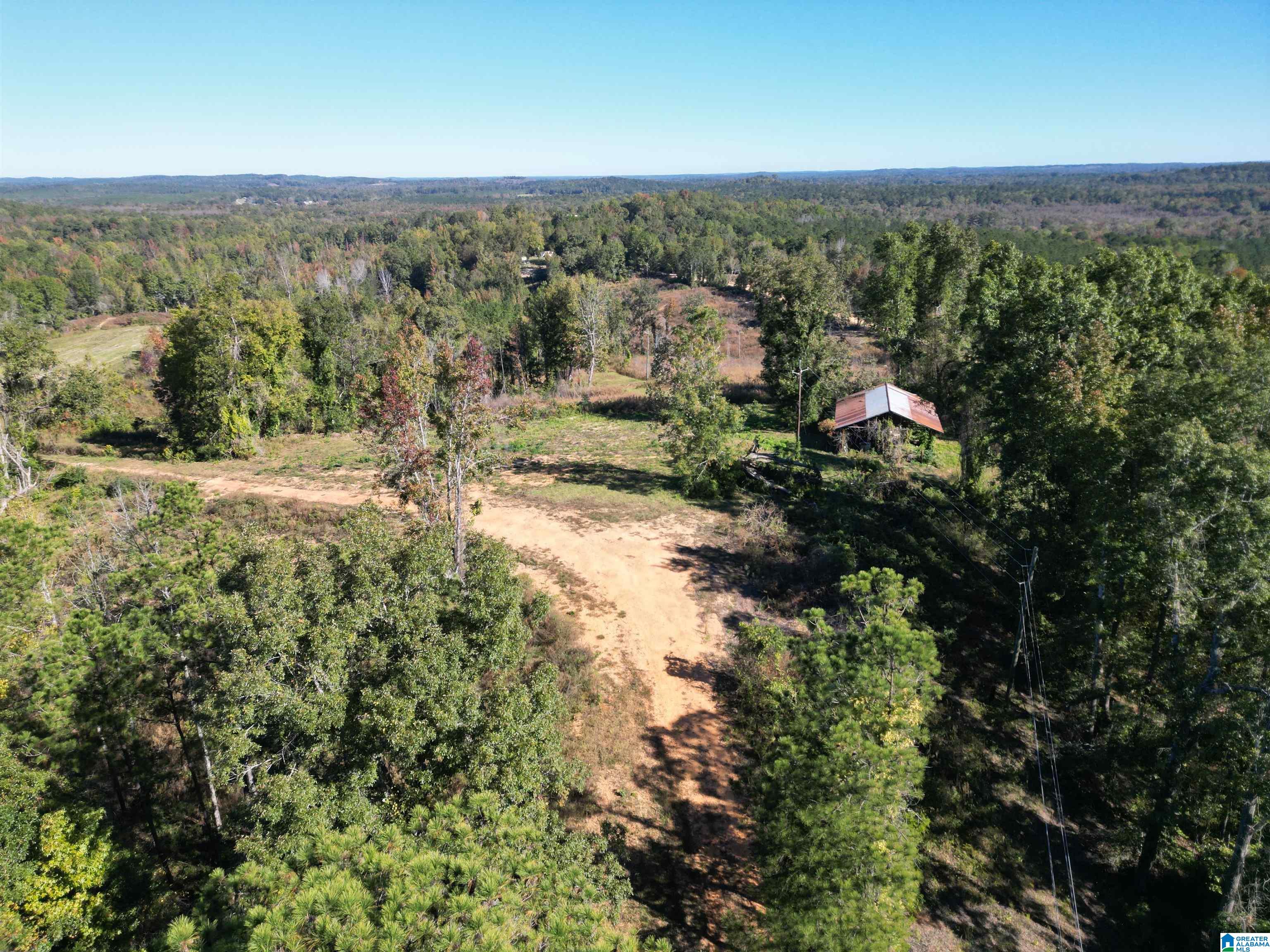 0 Payne Lk Road, Unit 1 Brent, AL 35034 - Photo 7 of 9