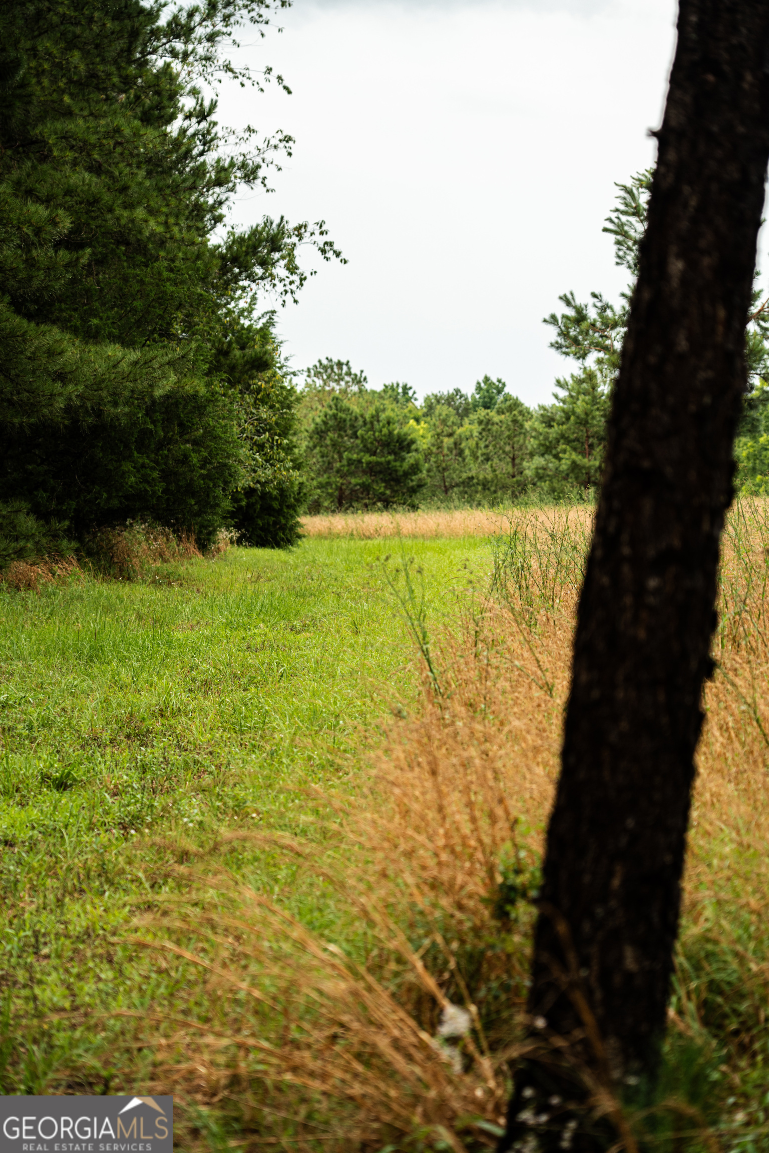990 Highway 49 Americus, GA 31719 - Photo 45 of 121