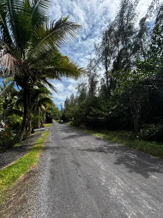 a view of outdoor space with trees