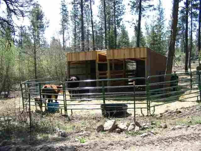 12021 North Ritchey Lane Spokane, WA 99224 - Photo 7 of 9 Gallery Image 7