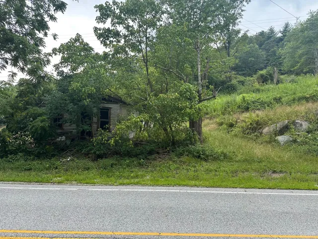a view of a yard with a trees