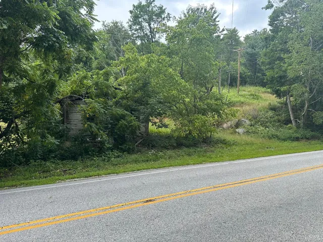 a view of a yard with a street