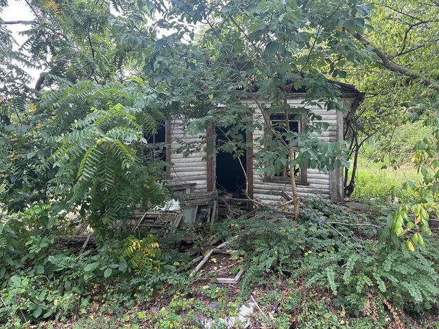 a view of a house with a tree