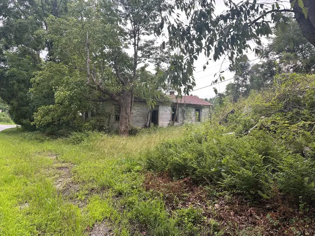 a view of a lush green forest