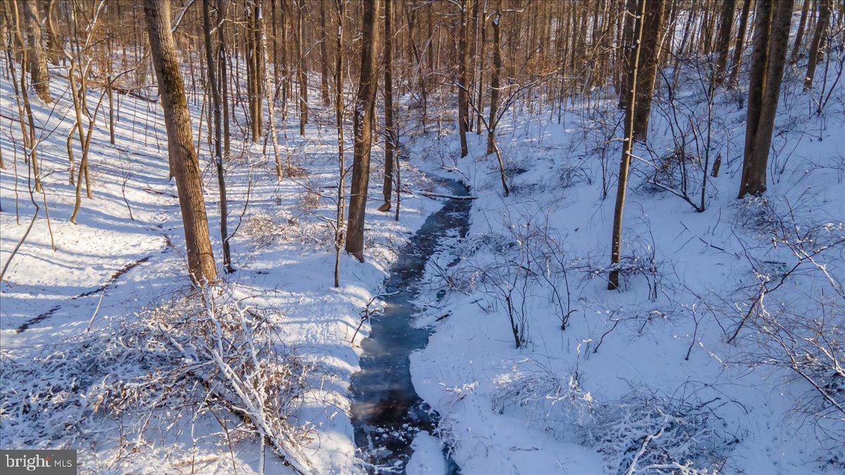 13935 Harrisville Road Mount Airy, MD 21771 - Photo 63 of 73 Stream at the bottom on the Lot