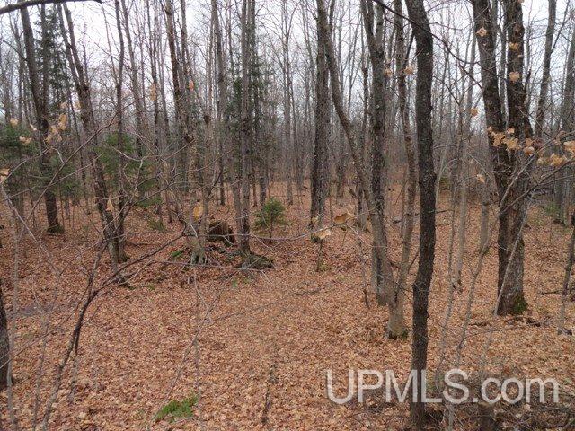 24494 L P Walsh Road White Pine, MI 49971 - Photo 25 of 28