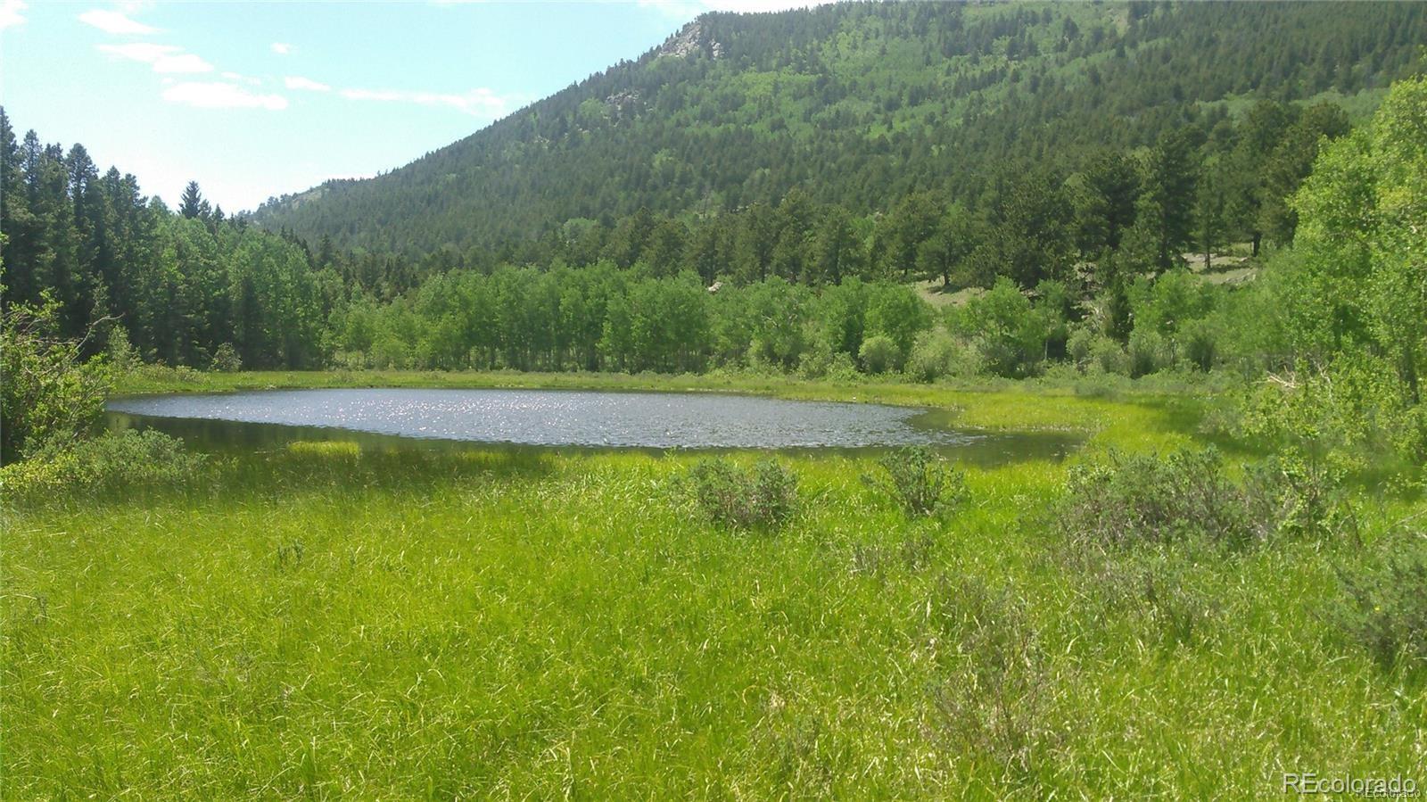 2 Dill Pickle Place Black Hawk, CO 80422 - Photo 36 of 39 a view of an outdoor space and a yard