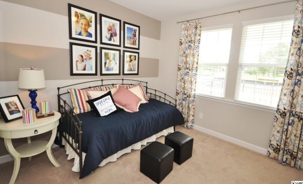 108 Ridge Point Drive Conway, SC 29526 - Photo 11 of 22 Gallery Image 11