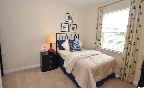 108 Ridge Point Drive Conway, SC 29526 - Photo 12 of 22 Gallery Image 12
