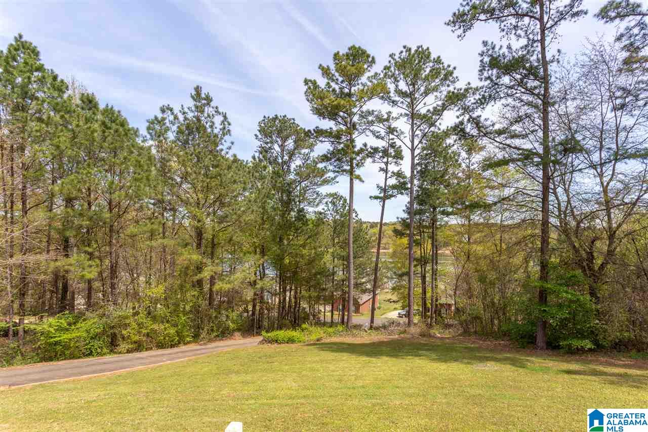 1065 Lock 4 Road Riverside, AL 35135 - Photo 8 of 37