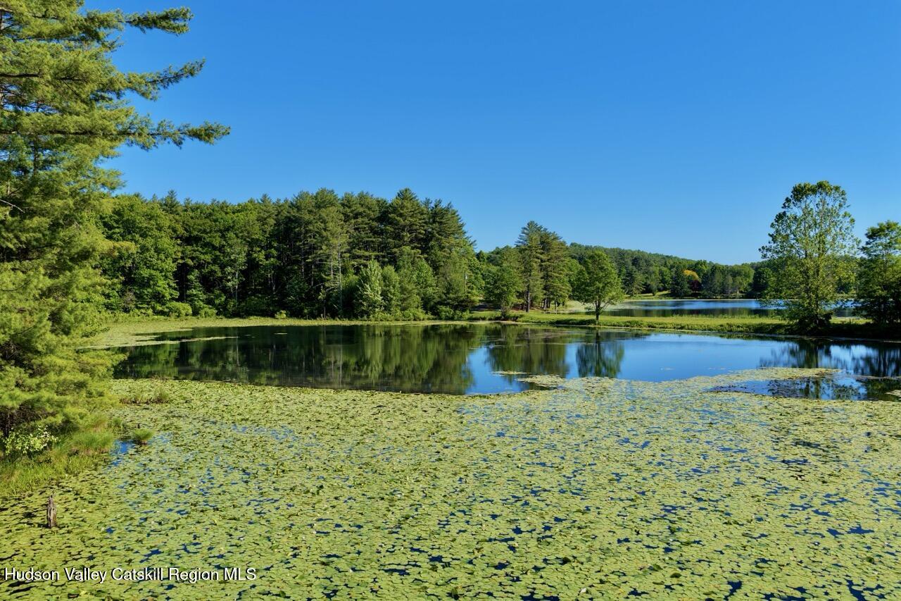 177 Webber Road Earlton, NY 12058 - Photo 25 of 50 a view of lake with a house in the background