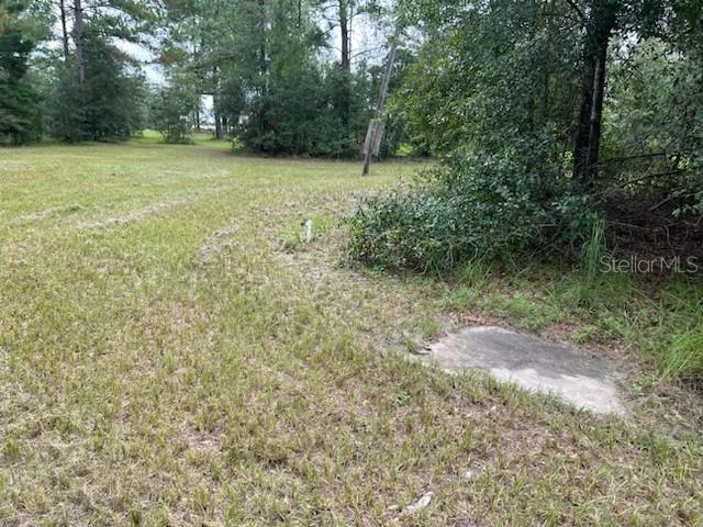 12482 161st Road Live Oak, FL 32060 - Photo 17 of 17
