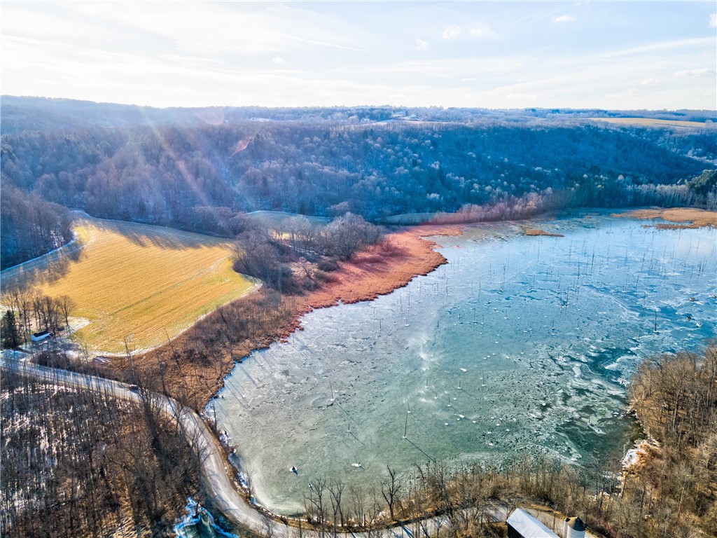 3250 Red Mill Road Onondaga, NY 13120 - Photo 4 of 13