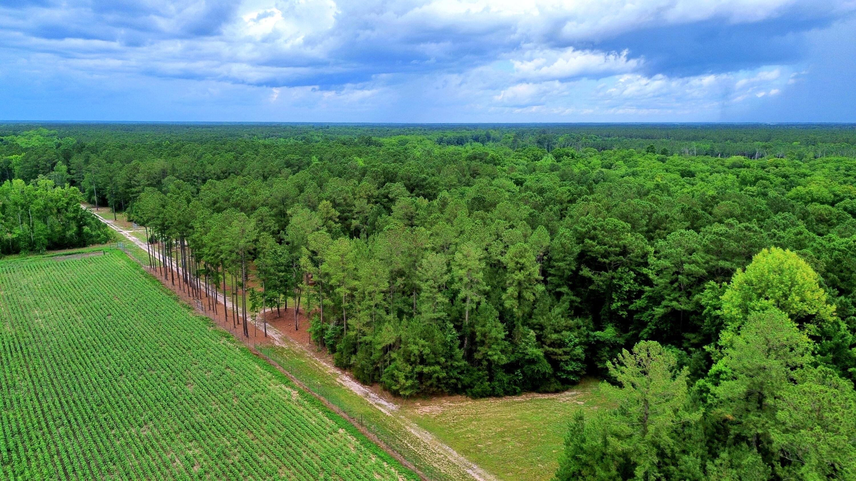 1970 Cross Swamp Road Islandton, SC 29929 - Photo 12 of 150