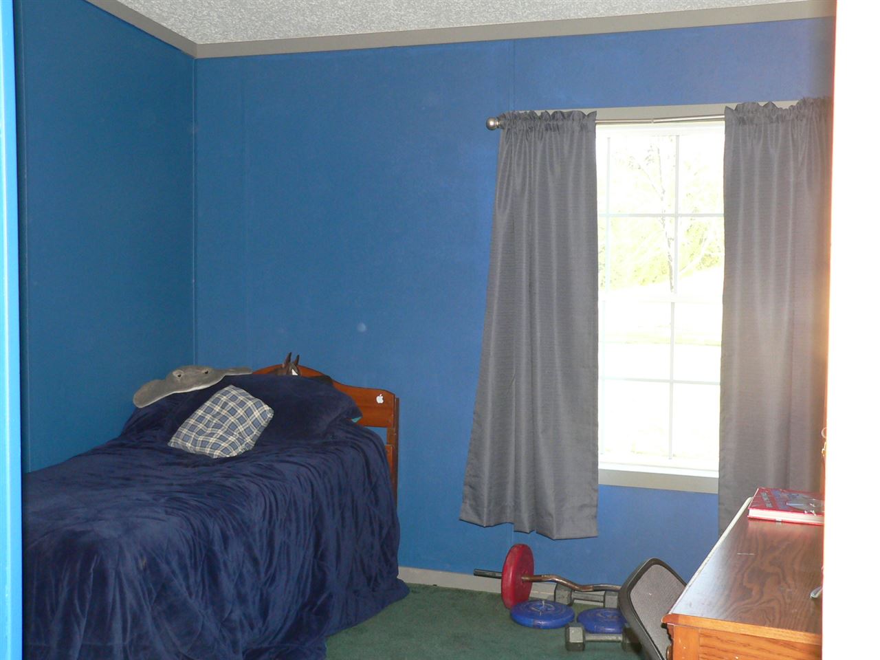 5375 Sparling Road Kingsley, MI 49649 - Photo 11 of 16 1798354-10.JPG