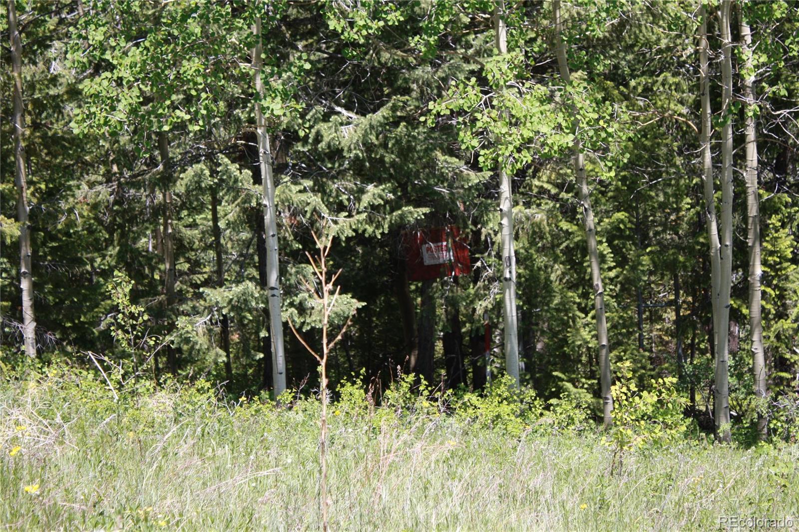 Missouri Flats Road Central City, CO 80427 - Photo 14 of 23