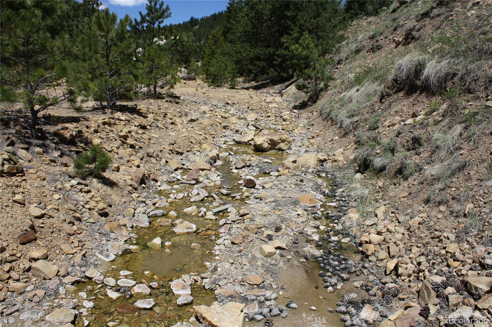 Missouri Flats Road Central City, CO 80427 - Photo 15 of 23