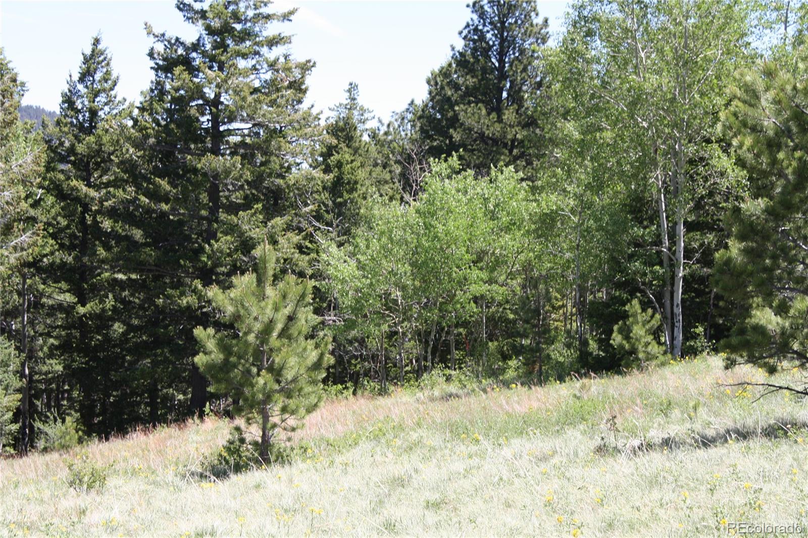 Missouri Flats Road Central City, CO 80427 - Photo 17 of 23