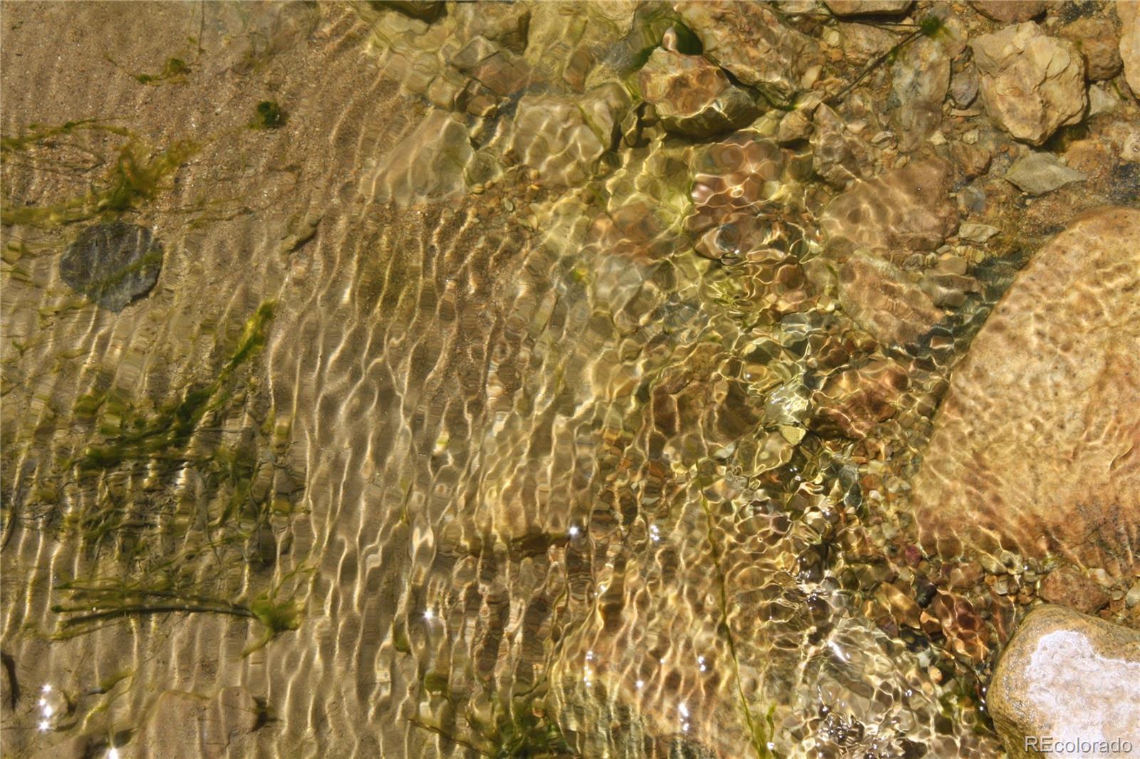 Missouri Flats Road Central City, CO 80427 - Photo 18 of 23