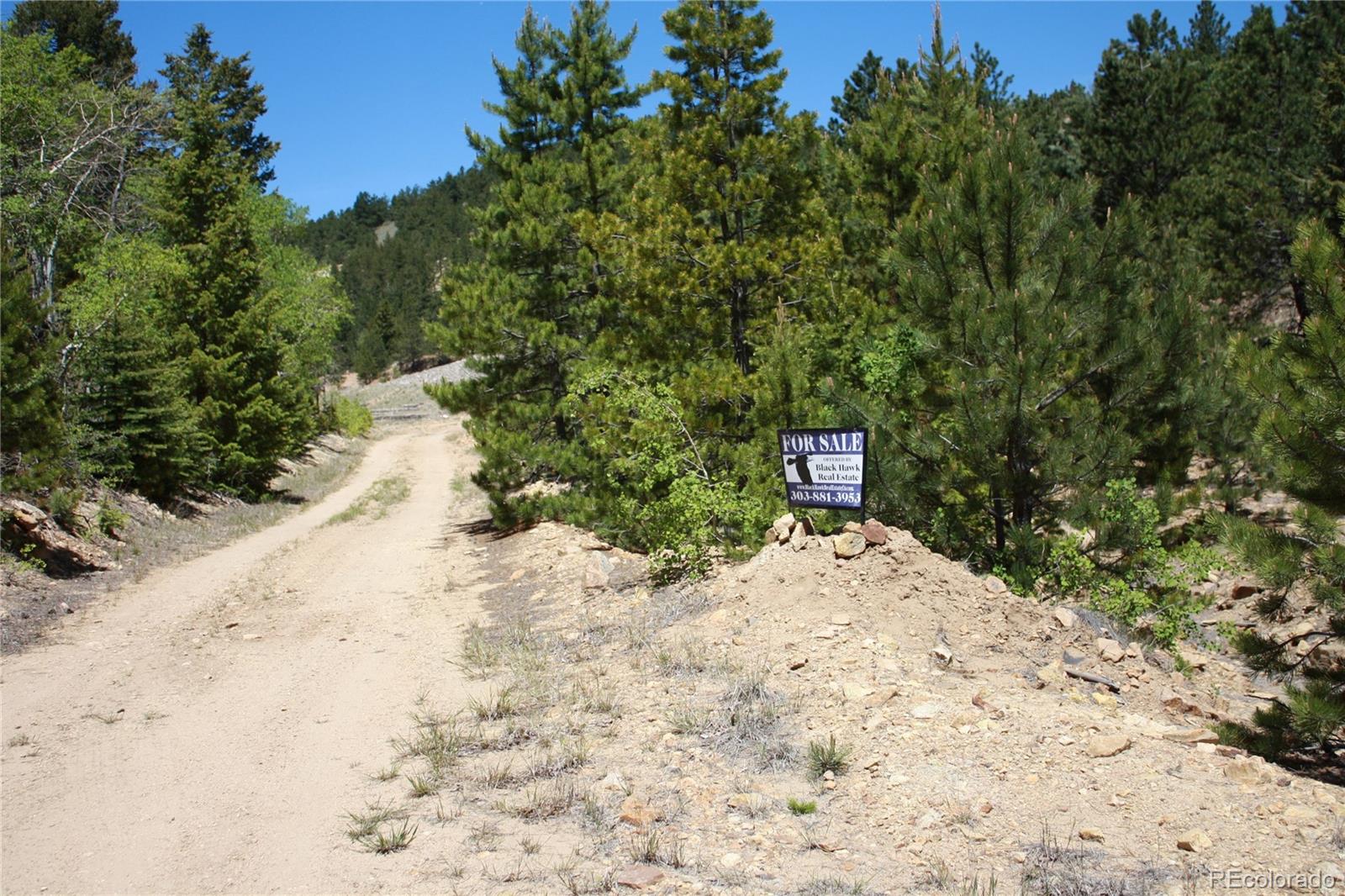 Missouri Flats Road Central City, CO 80427 - Photo 19 of 23