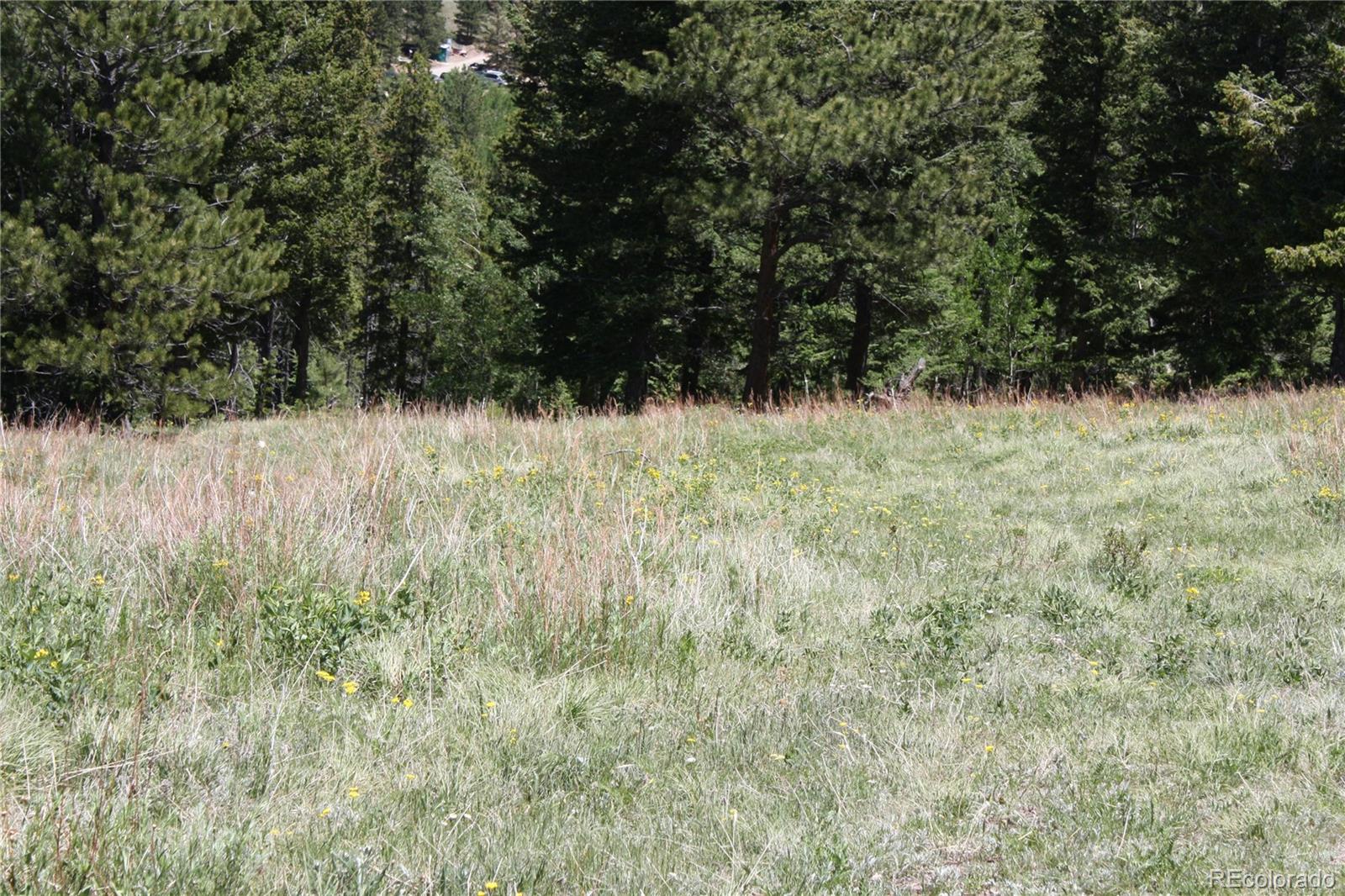 Missouri Flats Road Central City, CO 80427 - Photo 20 of 23