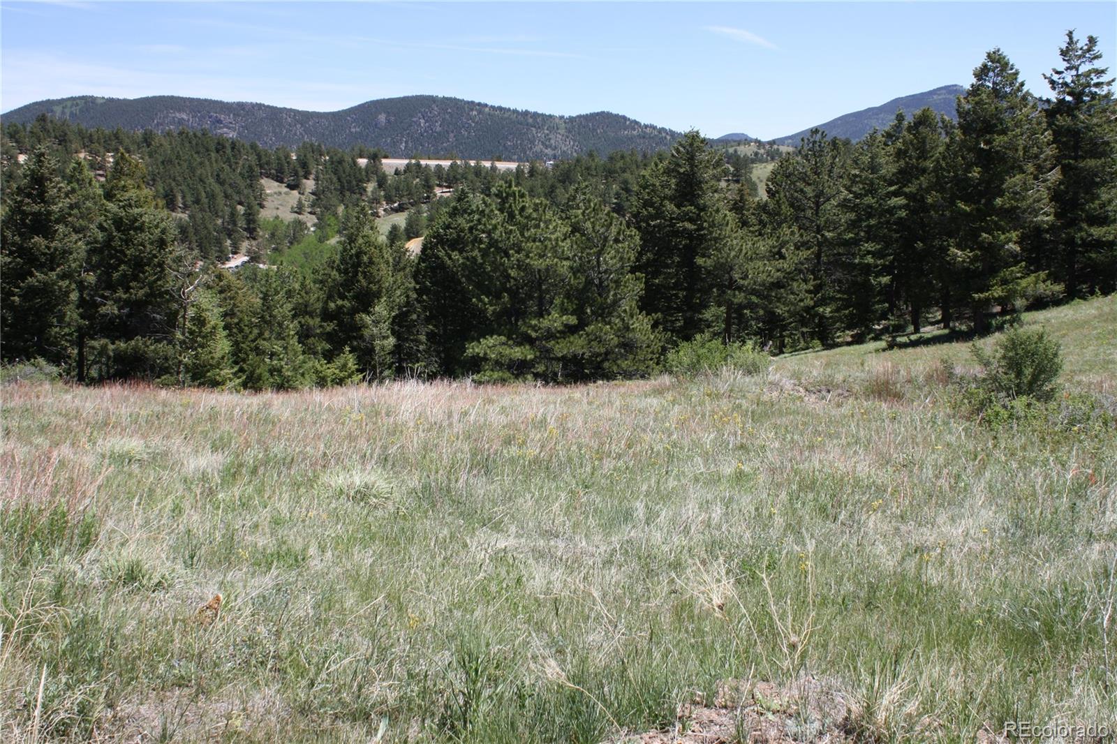 Missouri Flats Road Central City, CO 80427 - Photo 2 of 23