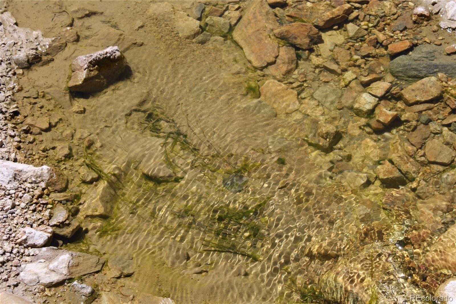 Missouri Flats Road Central City, CO 80427 - Photo 21 of 23