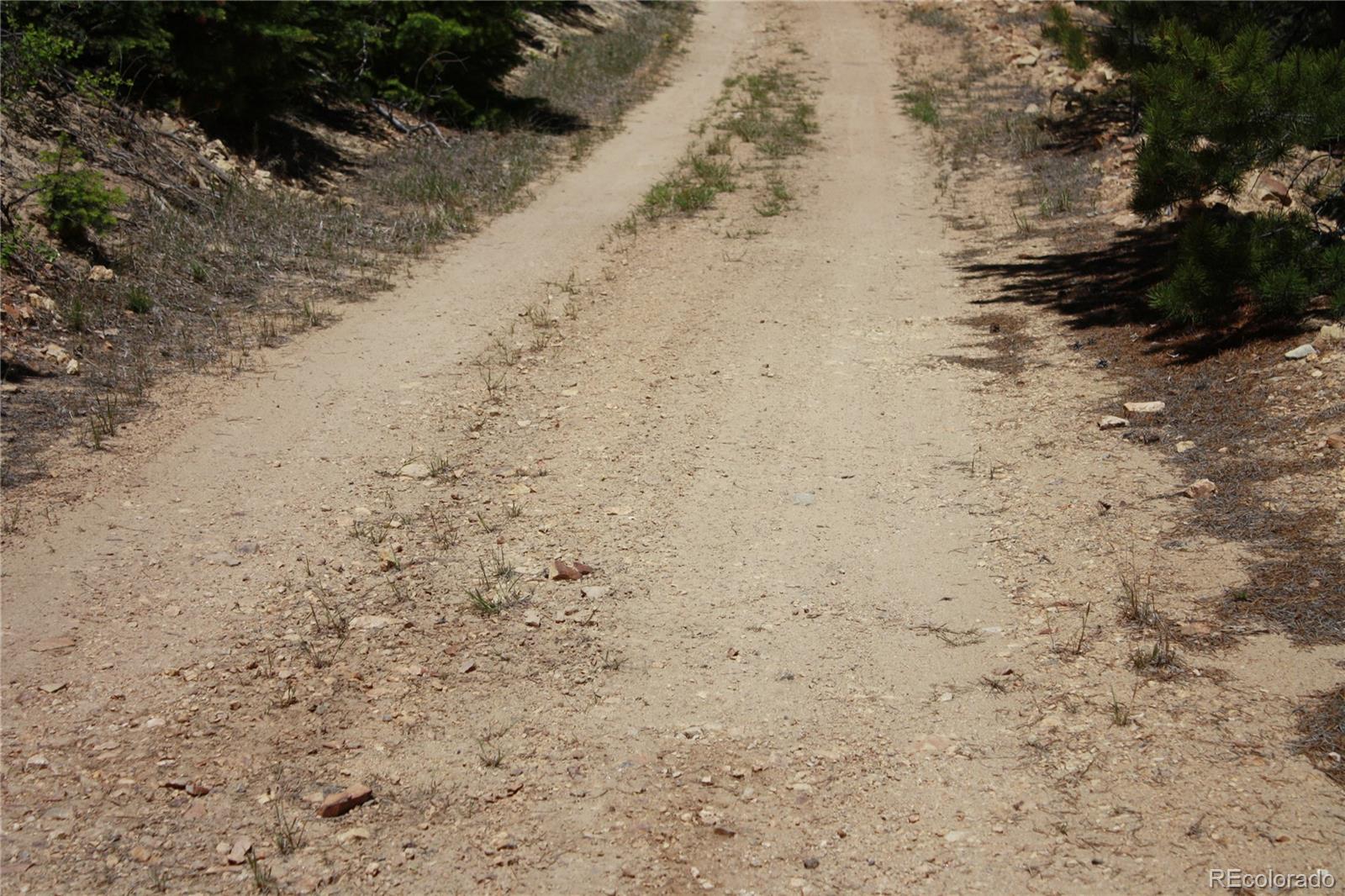 Missouri Flats Road Central City, CO 80427 - Photo 22 of 23