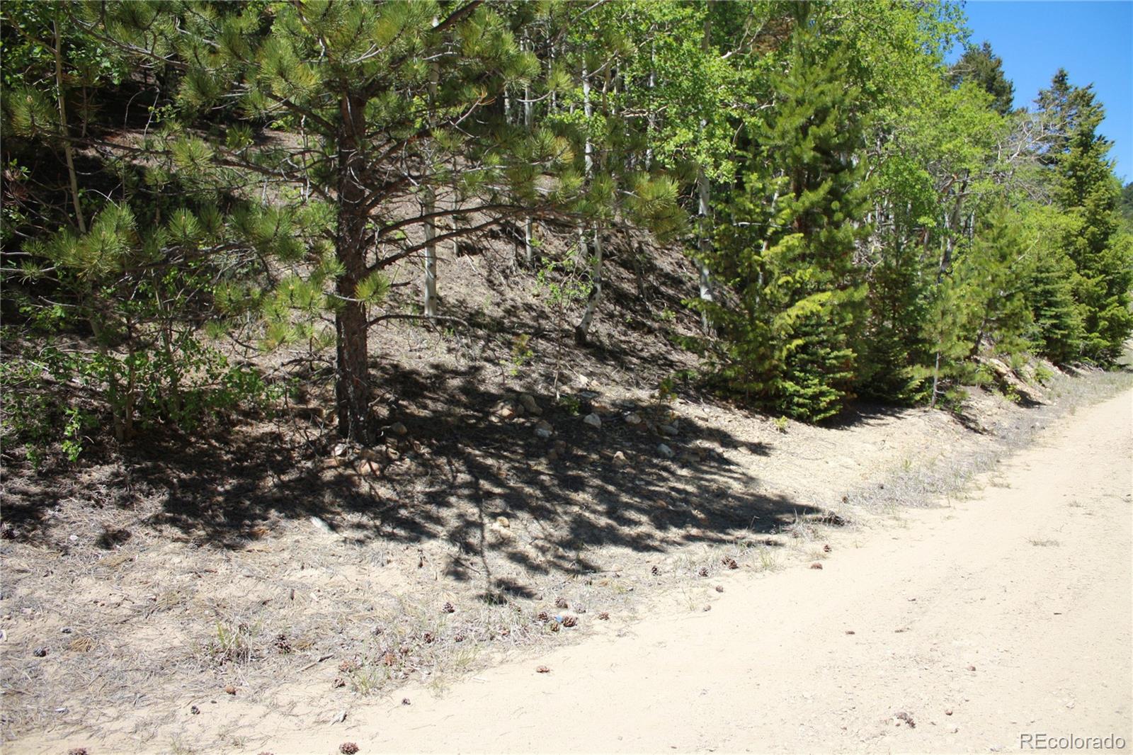 Missouri Flats Road Central City, CO 80427 - Photo 23 of 23