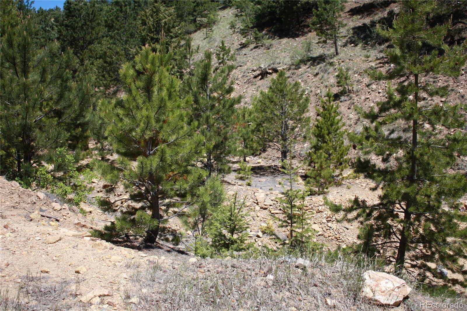 Missouri Flats Road Central City, CO 80427 - Photo 9 of 23