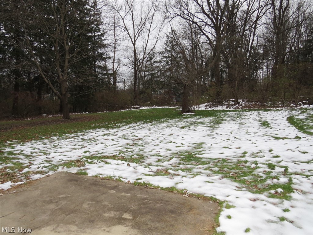 784 Akron Road Wadsworth, OH 44281 - Photo 15 of 28 Gallery Image 15