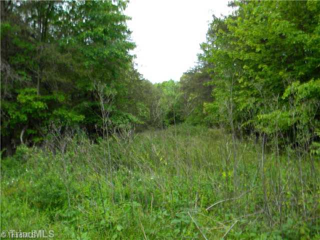 Lot 7 South Friendship Road Germanton, NC 27019 - Photo 2 of 5 Land.