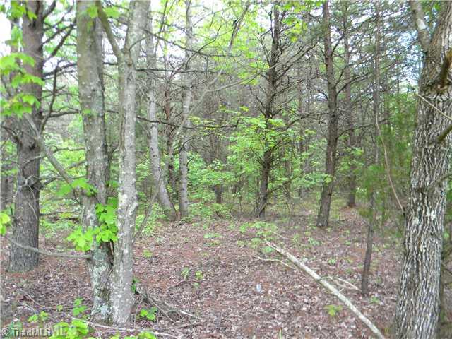 Lot 7 South Friendship Road Germanton, NC 27019 - Photo 3 of 5 Land.