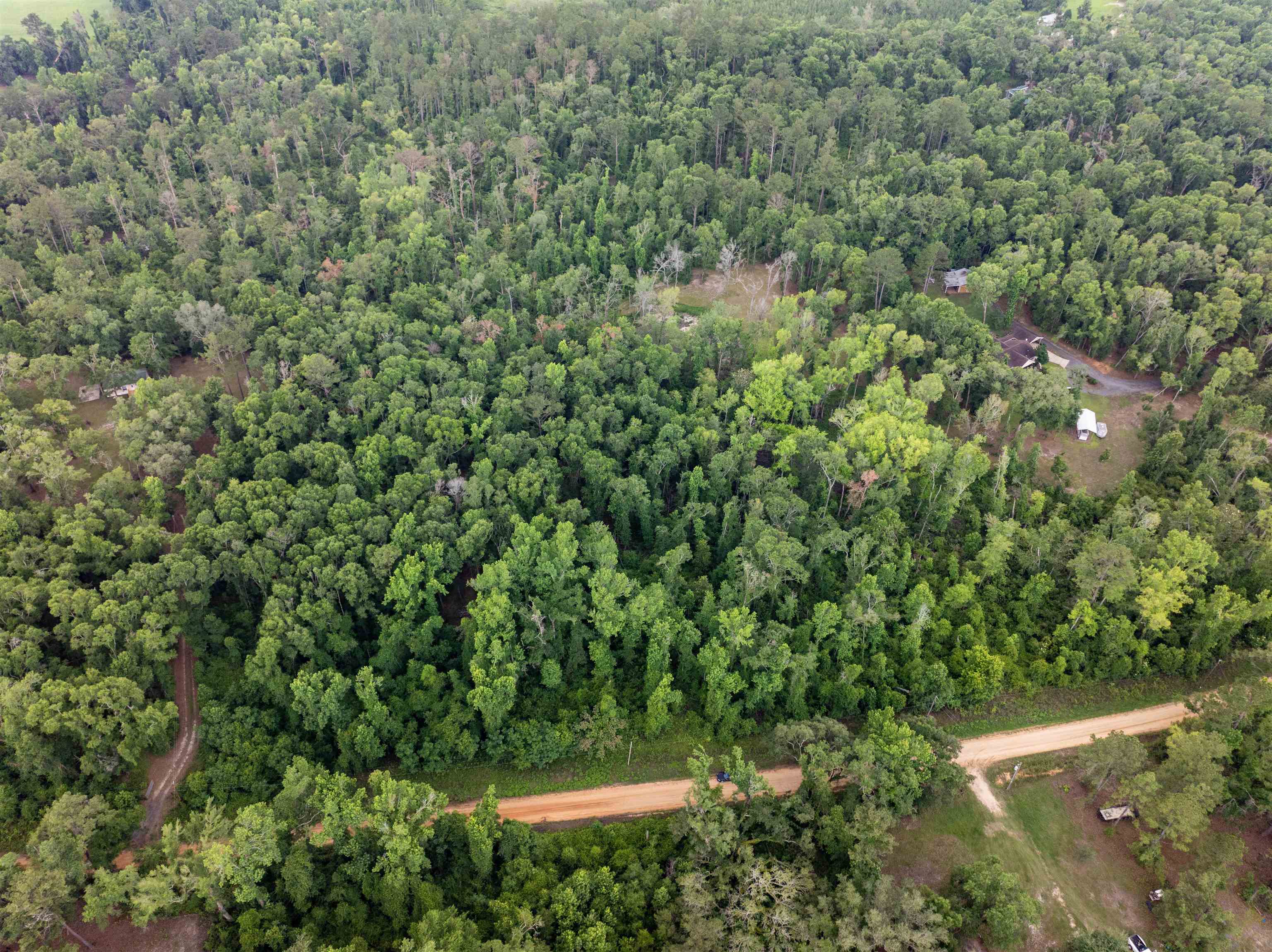 Vacant Northwest Vacant Nw Circle Road Madison, FL 32340 - Photo 10 of 18