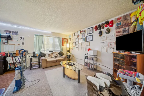 a bed room with a bed and a television