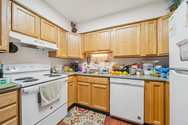 a close view of a plant in a garden